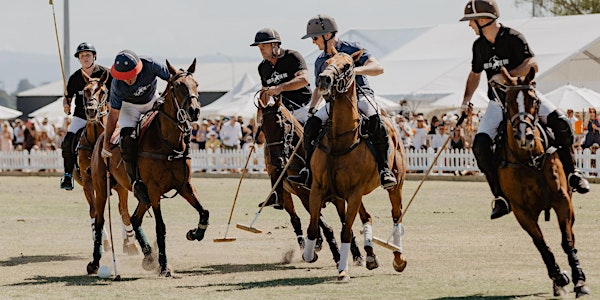 2022 Polo in the Bay | Mount Maunganui