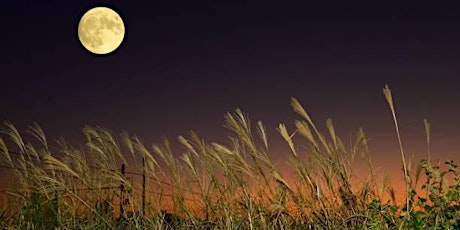 Harvest Full Moon ~ Hermetic Full Moon Ceremony & Meditation