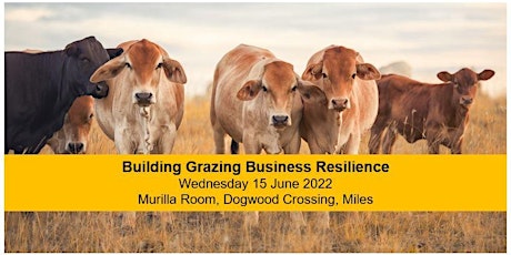 Building grazing business resilience