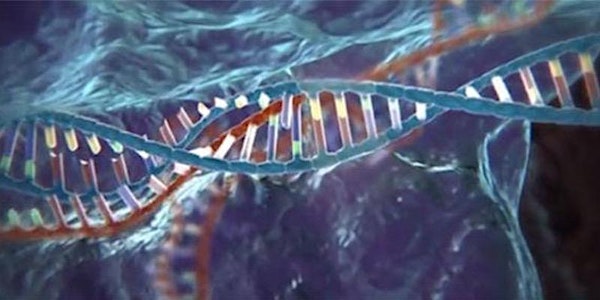 Genome Editing with CRISPR-Cas9