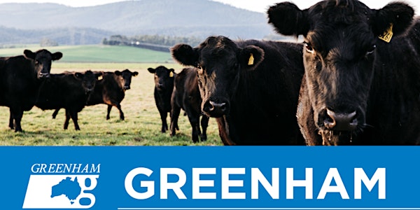 Greenham producer forum - Mt Gambier