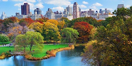 In-Person Singles Date Walking - Central Park