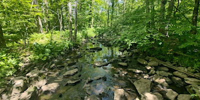 Broad Meadow Brook Family Hike and Butterfly Festival