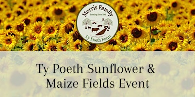 Ty Poeth Farm Sunflower & Maize Field Event