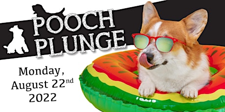The Pooch Plunge 2022