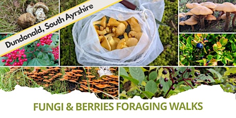Fungi and Berries Foraging Walks - Dundonald