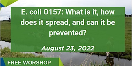 E. coli O157: What is it, how does it spread, and can it be prevented?