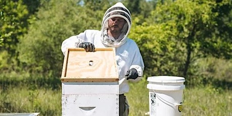 8/27 Beekeeping & Honey Chat w/ Aberdeen Apiary