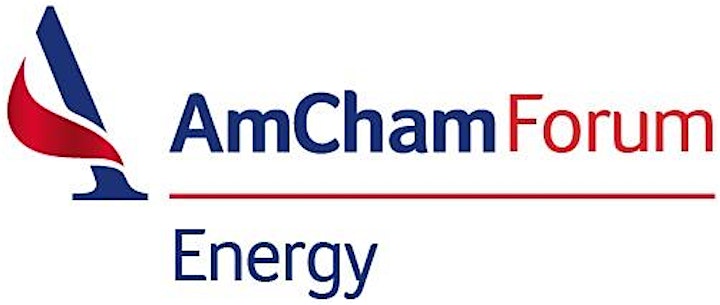 Imagen de AmCham Energy Forum