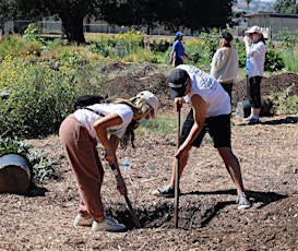 Volunteers needed to help improve soil with Root Down LA