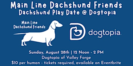 Dachshund Play Date at Dogtopia