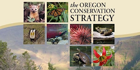 Oregon Conservation Strategy: helping you to manage priority species