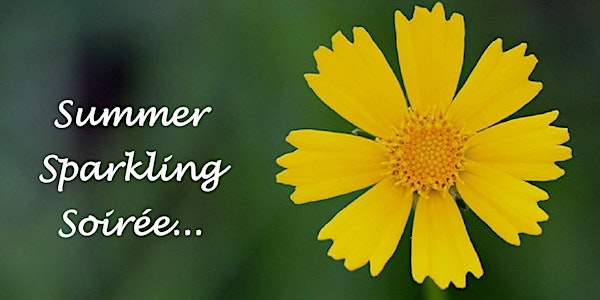 Summer Sparkling Soirée