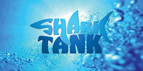 Salt's Shark Tank at Kelly Tarlton's Aquarium