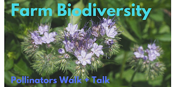 Farm biodiversity walk + honey taste