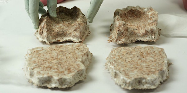Fungi Fabrication: Mycelium Materials