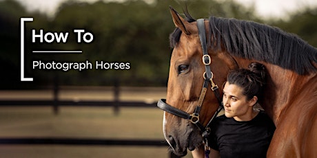 How To | Photograph Horses