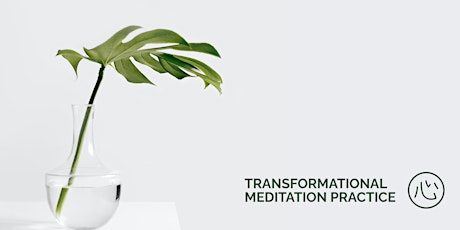 Transformational Meditation Session