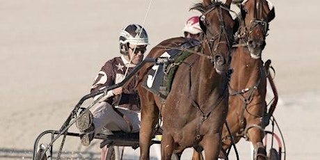 Kiwis in the World Driving Championship - Horse harness racing primary image