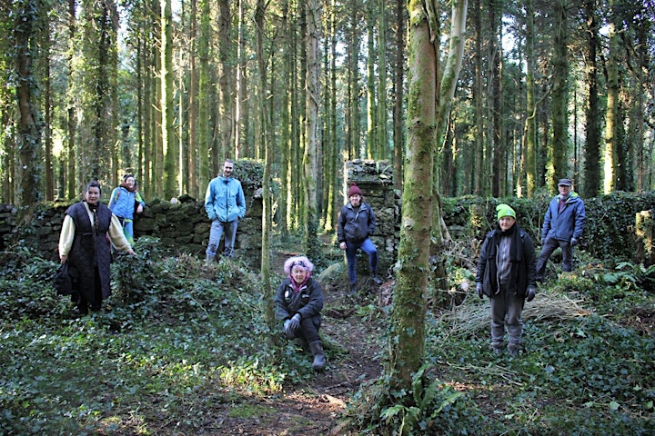 Merlin Park Woods Heritage Conservation and Woodland coppicing Project image