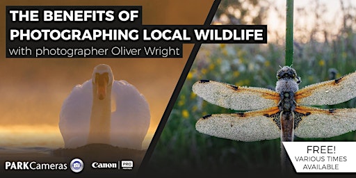 The benefits of photographing local wildlife with Oliver Wright
