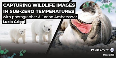 Capturing wildlife images in sub-zero temperatures with Lucia Griggi