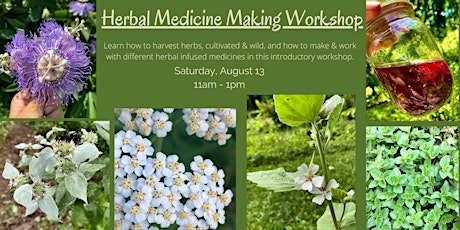 Herbal Medicine Making Workshop
