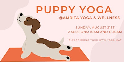 Puppy Yoga with Amrita Yoga and Wellness