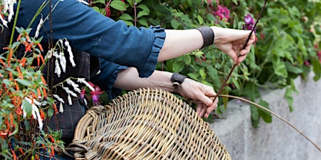 Adult Willow Basketry Workshop with Rosemary Kavanagh of Wildrose Basketry