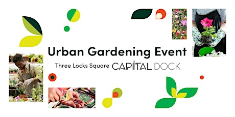 Urban Gardening at Capital Dock