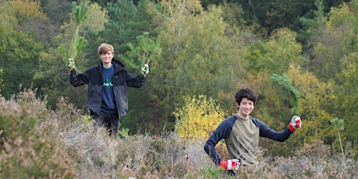 South Downs Youth Action: nature conservation with National Park Rangers