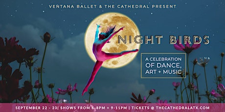 Night Birds - a Celebration of Dance, Art and Music