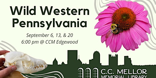 Wild Western PA: Biodiversity! Putting it All Together