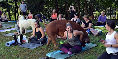 Farm-aste Yoga at the Haven - October