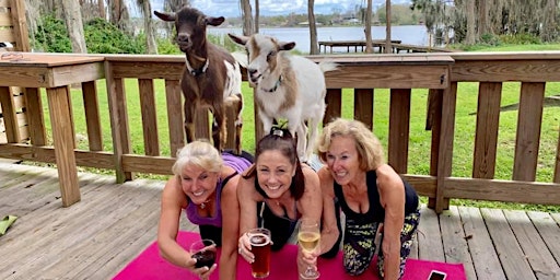 Goat Yoga Tampa plus free drink! In the Loop Brewing, Land O Lakes; 8/21/22