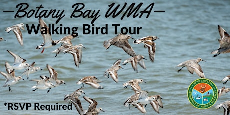 Botany Bay Bird Watching Walking Tour