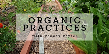 Organic Gardening Practices with Penney Poyzer