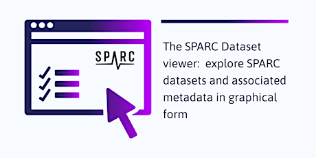 The SPARC Dataset viewer:  explore SPARC datasets and associated metadata