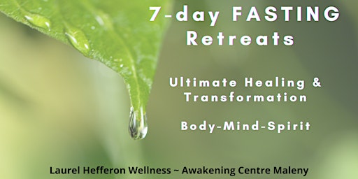 Fasting in the Forest - The Path to Rejuvenation of Body, Mind & Spirit