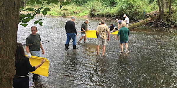Save Our Streams Macroinvertebrate Field Training - Clive, IA