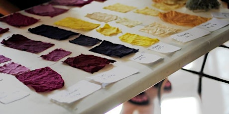 Natural Dyeing: Plant & Prints primary image