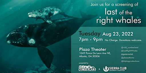 Film Screening: Last of the Right Whales