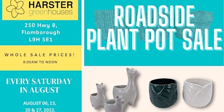 Harster Roadside Plant Pot Sale