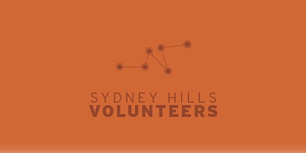 Embracing Youth Volunteering