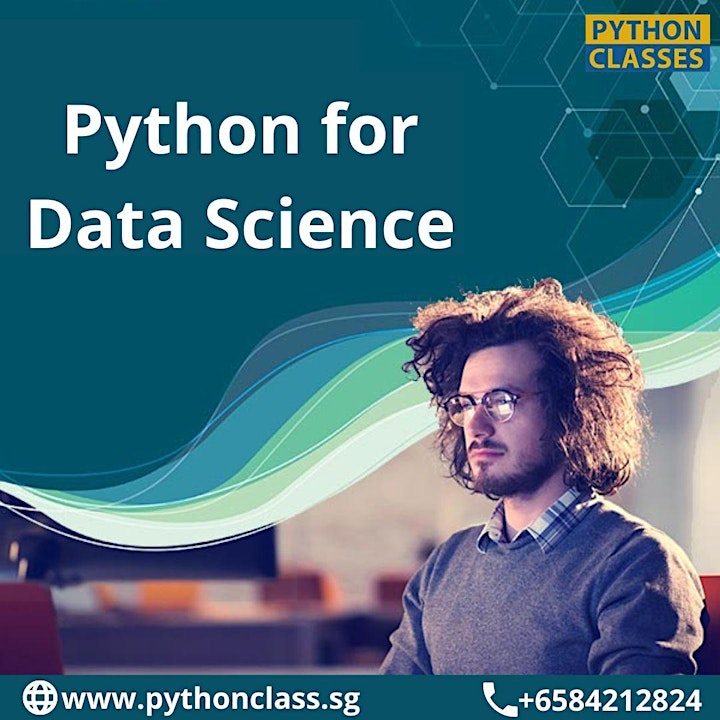 Python for Data Science Course Singapore - Python Classes image