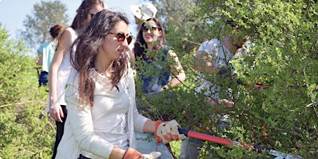 Activity for singles at community garden - התנדבות