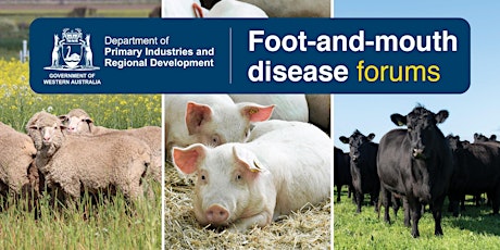Foot-and-mouth disease preparedness: Manjimup information forum