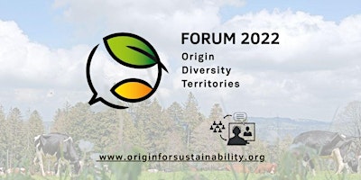 Forum Origin, Diversity, and Territories