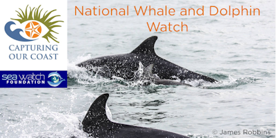 Seawatch National Whale and Dolphin Watch - With CoCoast