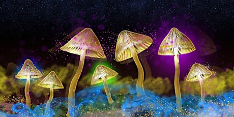 The Science of Psychedelics with Dr. Chris Timmermann